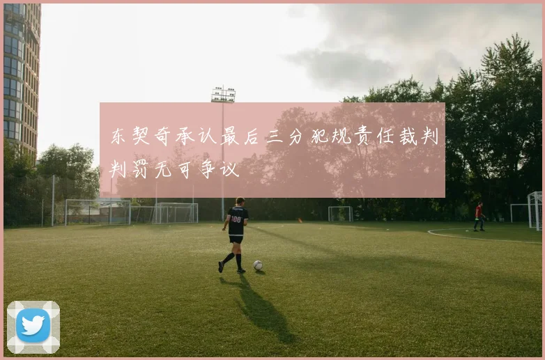 东契奇承认最后三分犯规责任裁判判罚无可争议