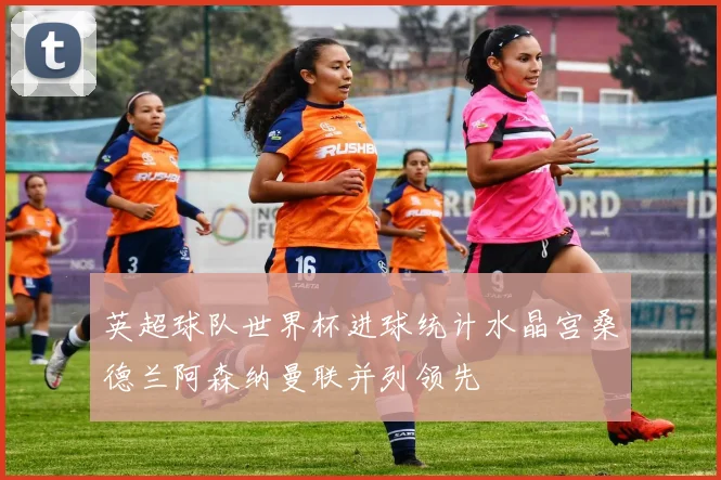 英超球队世界杯进球统计水晶宫桑德兰阿森纳曼联并列领先
