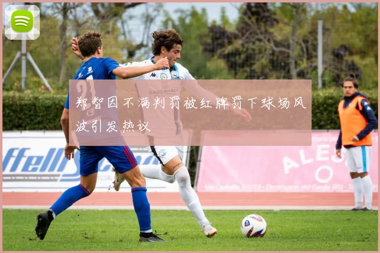 郑智因不满判罚被红牌罚下球场风波引发热议